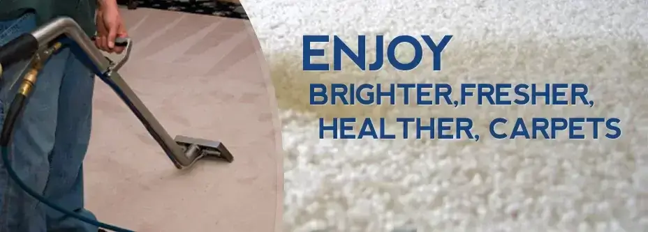 bright & smart carpet cleaning