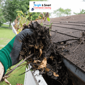 gutter cleaning