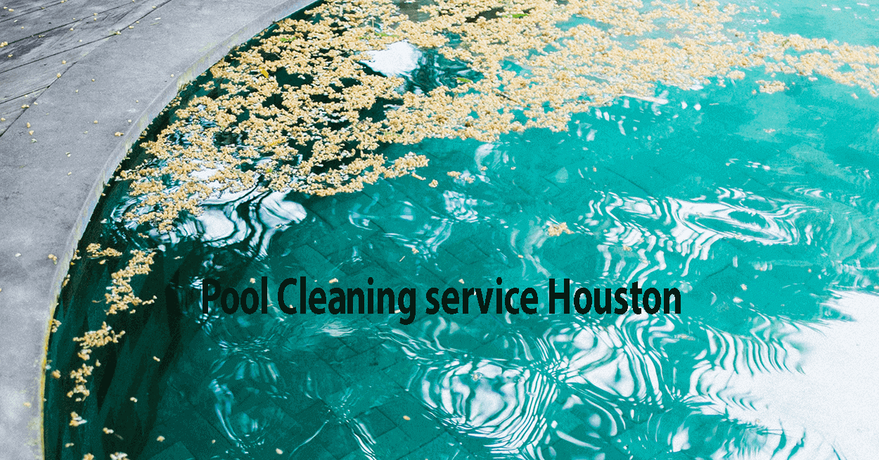 Read more about the article Pool Cleaning Company: Best Methods for pool Leaf Removal