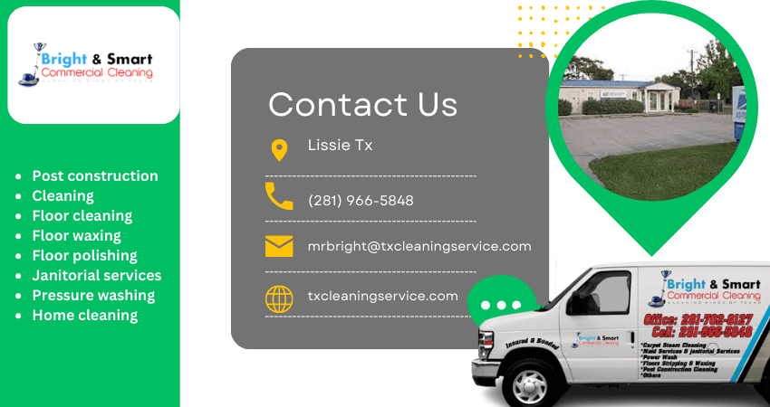 Lissie Cleaning services Houston