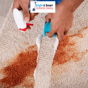 carpet stain removal conroe tx