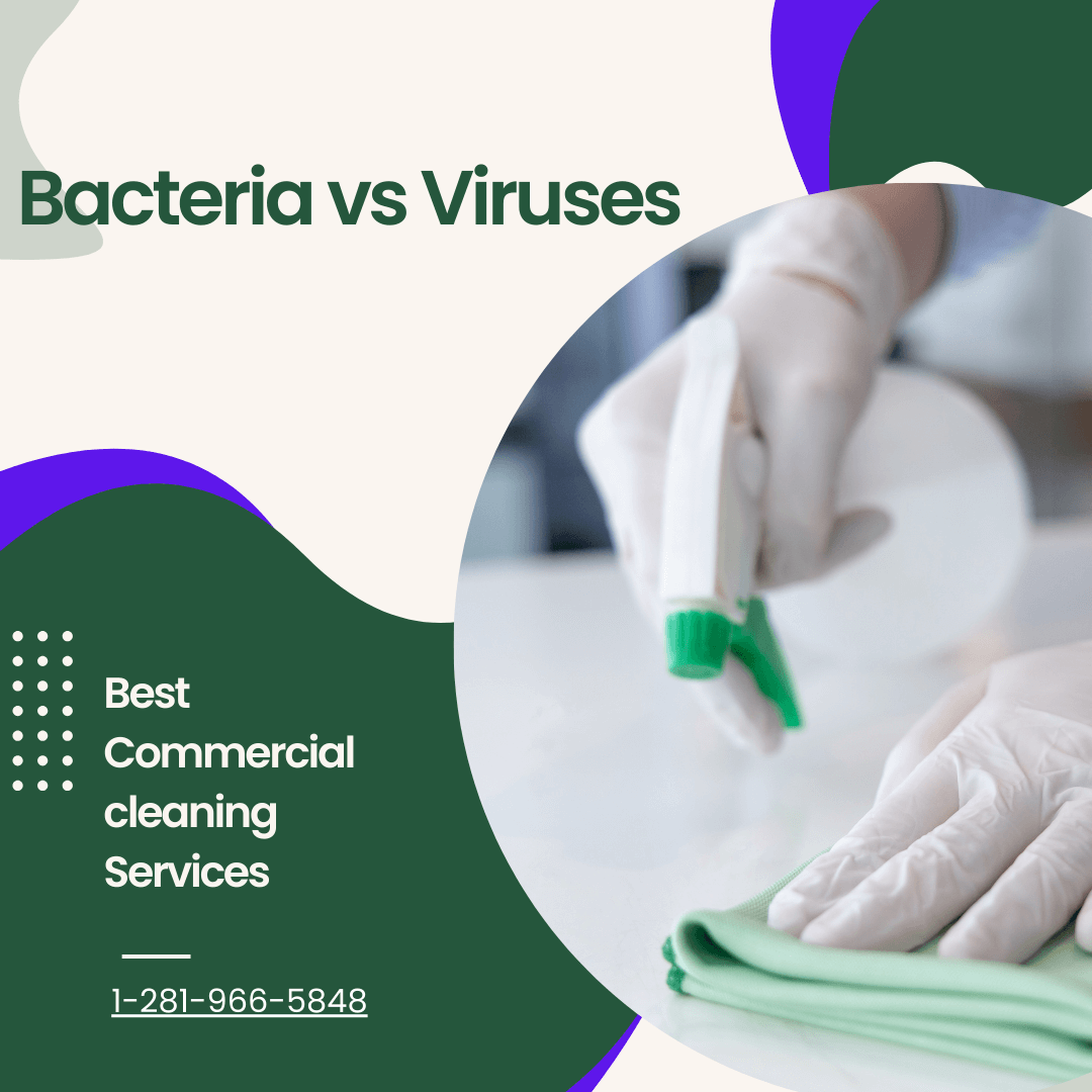 Read more about the article Bacteria vs Viruses: Understanding the Difference for Effective Cleaning