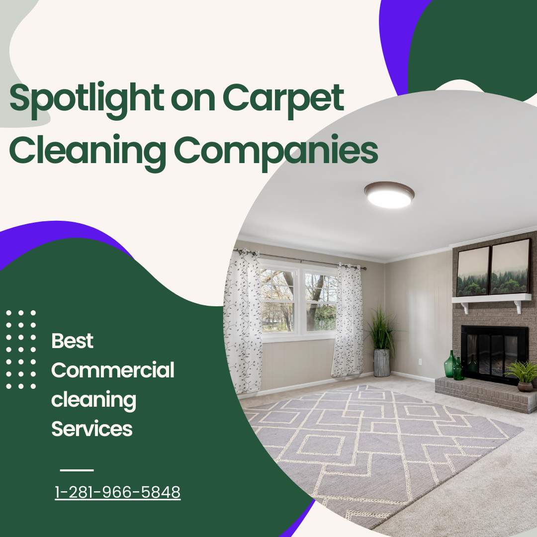 Read more about the article Spotlight on Carpet Cleaning Companies: Choosing the Best Service