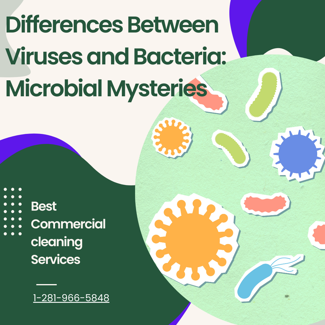 You are currently viewing Differences Between Viruses and Bacteria: Microbial Mysteries